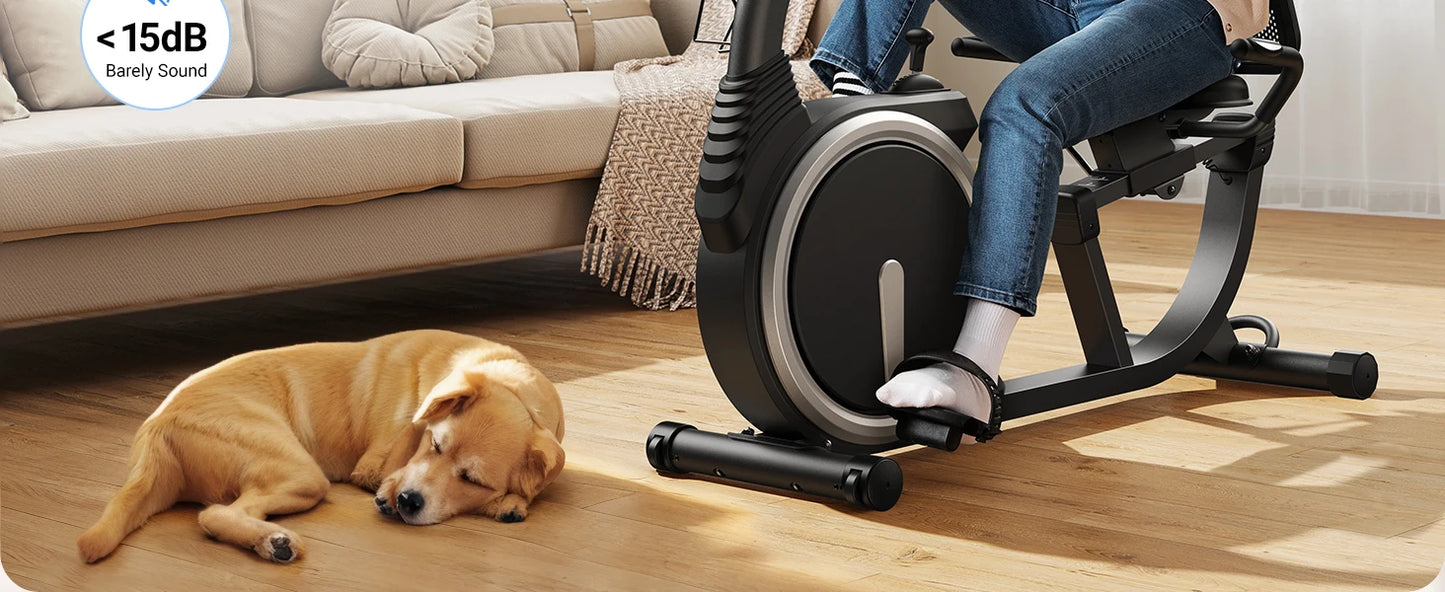 Recumbent Exercise Bike – Quiet Magnetic Stationary Bike with Heart Rate Handles, LCD Display, and App Integration (330lb Capacity)