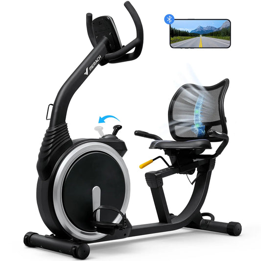 Recumbent Exercise Bike – Quiet Magnetic Stationary Bike with Heart Rate Handles, LCD Display, and App Integration (330lb Capacity)