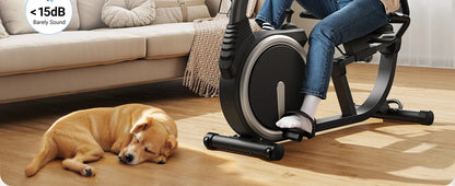 Recumbent Exercise Bike – Quiet Magnetic Stationary Bike with Heart Rate Handles, LCD Display, and App Integration (330lb Capacity)